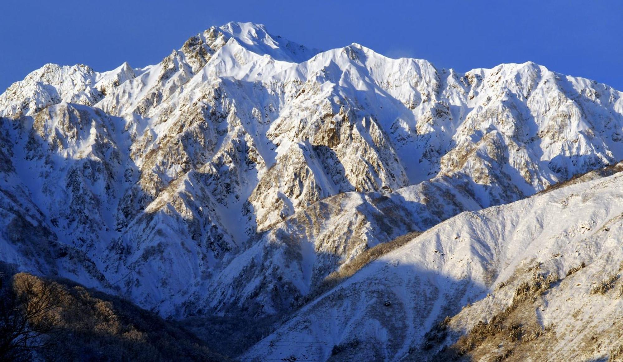 Bears Den Mountain Lodge Hakuba Eksteriør bilde