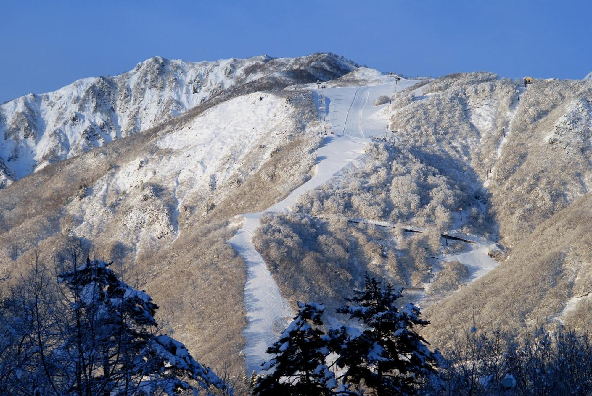 Bears Den Mountain Lodge Hakuba Eksteriør bilde